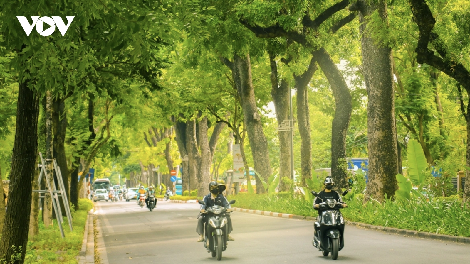 Hanoi named among Asia’s top spots for autumn foliage